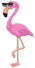 Hez's Flamingo